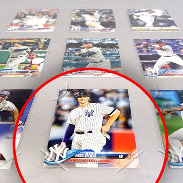 Trading Card Baseball SPORTS BOARD